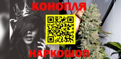 стафф Можга